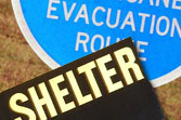 shelter in place