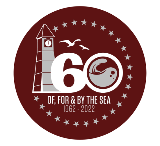 60th Anniversary Logo