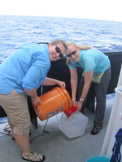 Allison and Tyra on cruise