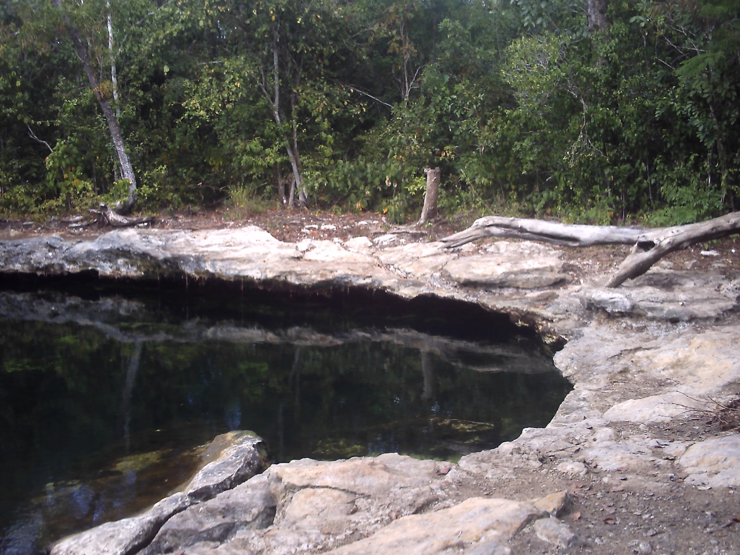 Cenote El Aerolito